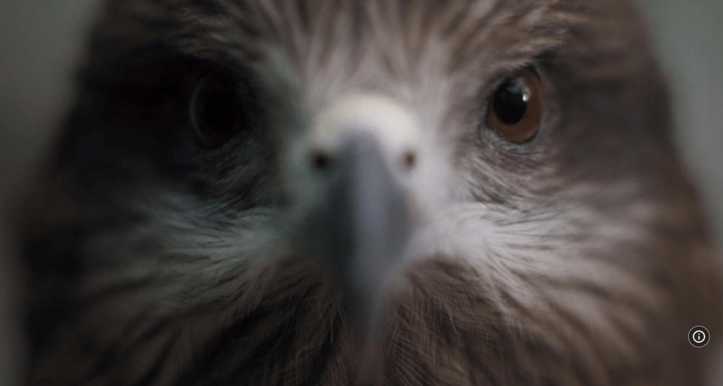 Seeing What We&nbsp;Breathe